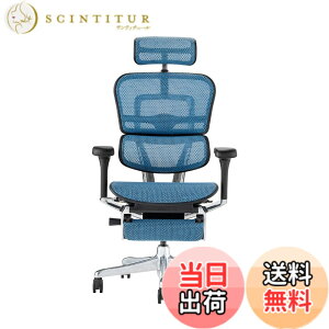 �y���������z�G���S�q���[�}��2(Ergohuman2) �I�t�B�X�`�F�A �F�F�t���[��:BLACK / ���b�V��:BLUE�A�T�C�Y�F�n�C�^�C�v�E�I�b�g�}������