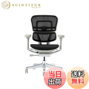 �y���������z�G���S�q���[�}��2(Ergohuman2) �I�t�B�X�`�F�A �F�F�t���[��:GRAY / ���b�V��:BLACK�A�T�C�Y�F���[�^�C�v