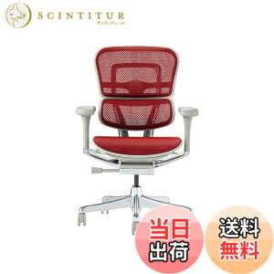 �y���������z�G���S�q���[�}��2(Ergohuman2) �I�t�B�X�`�F�A �F�F�t���[��:GRAY / ���b�V��:RED�A�T�C�Y�F���[�^�C�v