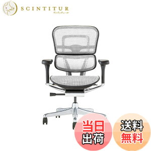 �y���������z�G���S�q���[�}��2(Ergohuman2) �I�t�B�X�`�F�A �F�F�t���[��:BLACK / ���b�V��:WHITE�A�T�C�Y�F���[�^�C�v