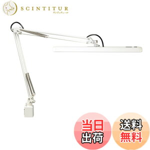 �y���������zZ-LIGHT LED�f�X�N���C�g Z-10 �F�F�z���C�g