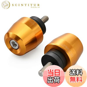 �y���������z�f�C�g�i(Daytona) �o�[�G���h �o�C�N �A���~�r���b�g �T�[�t�F�X�^�C�v �F�F�S�[���h�A�T�C�Y�F�z���_(M6)