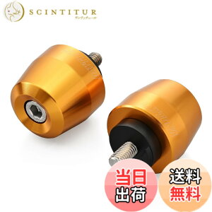 �y���������z�f�C�g�i(Daytona) �o�[�G���h �o�C�N �A���~�r���b�g �T�[�t�F�X�^�C�v �F�F�S�[���h�A�T�C�Y�F���}�n(M6)