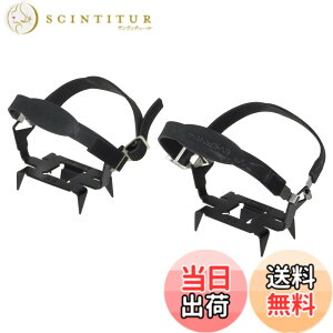 �y���������z�G�o�j���[(EVERNEW) 4�{�܃A�C�[�� EBY012 �F�F���A�T�C�Y�FFF