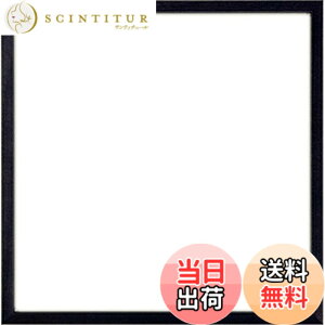 �y���������z���R�[�h�t���[�� 5767�EUV�J�b�g�A�N�����d�l �Ǘp�{�^���t�b�N�z���C�g�iM-080�j�t�� �F�F�u���b�N�A�T�C�Y�F�X�N�G�A, �X�N�G�A