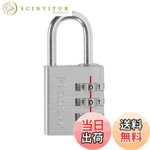 �y���������zMaster Lock (�}�X�^�[���b�N) �i���o�[�ώ��싞�� �F�F�V���o�[�A�T�C�Y�FM