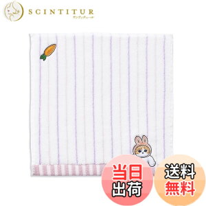 �y���������z�^�I�����p��(Towel Museum) mofusand �X�g���C�v �^�I���n���J�` �p�[�v�� �����ɂ�� �L ���� 43-0070070 ��25x25cm �F�F�p�[�v���A�T�C�Y�F�^�I���n���J�`