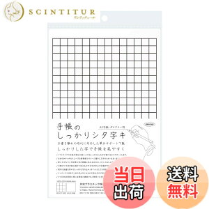 �y���������z���h�v���X�`�b�N ���~�� �蒠�̂�������V�^���L A5�� ��̂��� SHST-A5-W �F�F�z���C�g�A�T�C�Y�FA5