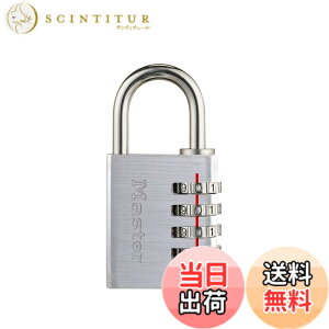 �y���������zMaster Lock (�}�X�^�[���b�N) �i���o�[�ώ��싞�� �F�F�V���o�[�A�T�C�Y�FL