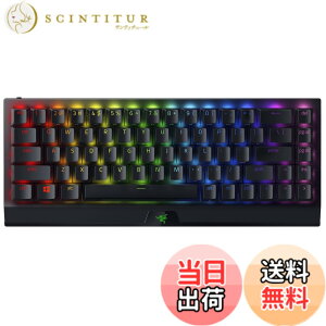 �y���������zBlackWidow V3 Mini �F�F�u���b�N