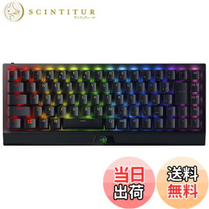 �y���������zBlackWidow V3 Mini �F�F�u���b�N