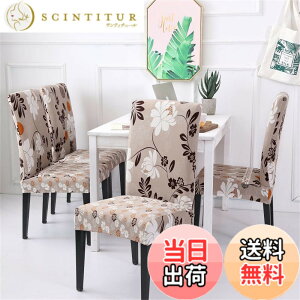 �y���������z[�j���[�o�����X] �X�j�[�J�[ WL373 B ���f�B�[�X �F�F�O���[�A�T�C�Y�F23.5 cm