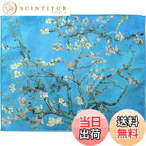 �y���������z����(TORAY) �N���[�j���O�N���X 24x19cm ���� �g���V�[ �S�b�z ��̃J�t�F�e���X ���K�l�@�� �g�уN���[�j���O �t����ʃN���[�j���O �����Y�@�� ���ɍב@�� �F�F�ԍ炭�A�[����