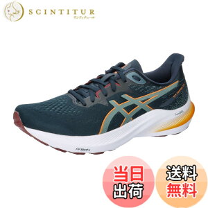 �y���������zasics(�A�V�b�N�X) �����Y GT-2000 12�����j���O�V���[�Y �F�F401(�t�����`�u���[/�t�H�M�[�e�B�[��)�A�T�C�Y�F28.5 cm 4E