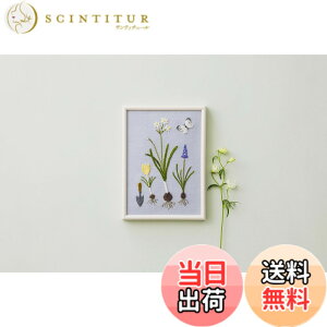 �y���������z�R�X��(Cosmo) �h���イ�L�b�g �y�ؘa�q ����̃X�P�b�`�u�b�N�z ��̃x���[ No.542210 �o���オ��T�C�Y�F��^�e13�D8cmx���R18�D8cm �F�F�u�[�P�A�T�C�Y�F13.8 cm x 2 cm x 18.8 cm