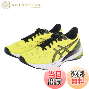 �y���������zasics(�A�V�b�N�X) �����Y GT.1000 12�����j���O�V���[�Y �F�F750(�u���C�g�C�G���[/�u���b�N)�A�T�C�Y�F27.0 cm 2E