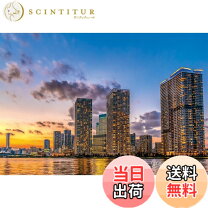 楽天市場】都市シリーズの通販