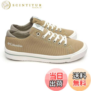 �y���������z[�R�����r�A] �z�[�\�����C�� ���[ YU6327 �F�F271 ancientfossil�A�T�C�Y�F28.0 cm