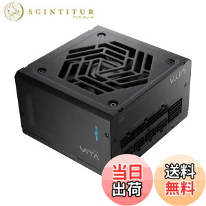 �y���������zFSP 80PLUS GOLD�ECybenetics GOLD�F�؎擾 ATX 3.1�Ή��uVITA �T�C�Y�F1000W
