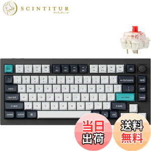 �y���������z�y�������K�i�zKeychron Q1 Max QMK/VIA���C�����X�E�J�X�^�����J�j�J���L�[�{�[�h�A2.4 GHz/Bluetooth/�L���ڑ��AUS���C�A�E�g�ARGB���C�g�A�z�b�g�X���b�v�Ή�Gateron Ju �F�F�J�[�{���u��