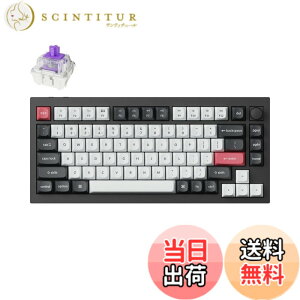 �y���������z�y�������K�i�zKeychron Q1 HE QMK���C�����X�E�J�X�^���L�[�{�[�h�A�z�[������Gateron�_�u�����[���}�O�l�b�g�X�C�b�`�A���s�b�h�g���K�[�A2.4 GHz/Bluetooth/�L���ڑ��ARGB���C�g�A�z�b