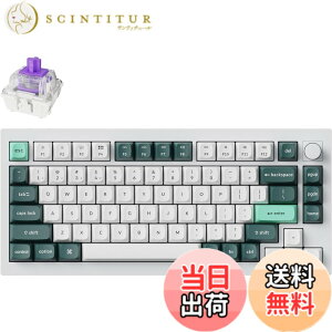 �y���������z�y�������K�i�zKeychron Q1 HE QMK���C�����X�E�J�X�^���L�[�{�[�h�A�z�[������Gateron�_�u�����[���}�O�l�b�g�X�C�b�`�A���s�b�h�g���K�[�A2.4 GHz/Bluetooth/�L���ڑ��ARGB���C�g�A�z�b