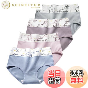 �y���������z[xreisi] ���f�B�[�X �V���[�c �� 1���Z�b�g4���Z�b�g 5���Z�b�g ���M�����[�V���[�c �p���c ���`�E�� �E����ɂ��� �E �ʋC�� ���K �E���킢�� ���� ���� �F�FXR-6102 / �V���[�c4��