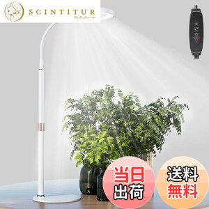 �y���������zbseah�����A���p�������C�g�A�S���X�y�N�g��LED�������C�g �F�F�z���C�g�A�T�C�Y�F��^-��