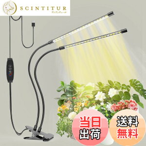 �y���������zbseah�����A���p�������C�g�A�S���X�y�N�g��LED�������C�g �F�F�u���b�N�A�T�C�Y�F���[1pcs