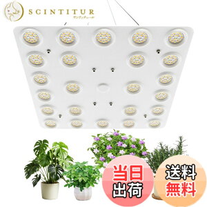 �y���������zbseah�����A���������A�S�X�y�N�g�������������A3��ނ̃��[�h��10���̒��� �T�C�Y�F�ʎq��100W