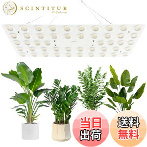 �y���������zbseah�����A���������A�S�X�y�N�g�������������A3��ނ̃��[�h��10���̒��� �T�C�Y�F�ʎq��240W