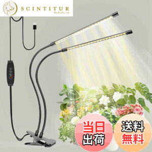 �y���������zbseah�����A���������A�S�X�y�N�g�������������A3��ނ̃��[�h��10���̒��� �T�C�Y�F���[1pcs