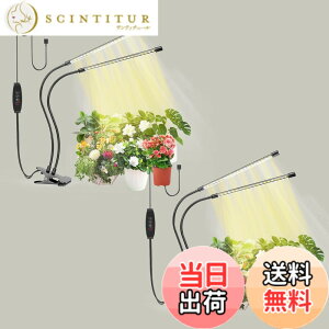 �y���������zbseah�����A���������A�S�X�y�N�g�������������A3��ނ̃��[�h��10���̒��� �T�C�Y�F���[2pcs