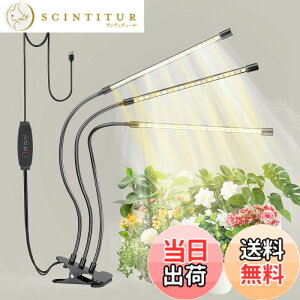 �y���������zbseah�����A���������A�S�X�y�N�g�������������A3��ނ̃��[�h��10���̒��� �T�C�Y�F�O�[1pcs