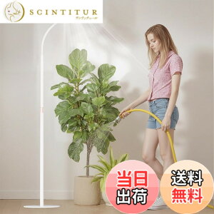 �y���������zbseah�����A���������A�S�X�y�N�g�������������A3��ނ̃��[�h��10���̒��� �F�F�z���C�g�A�T�C�Y�F��^-��