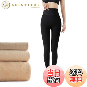 �y���������z[Velaci] �^�C�c ���f�B�[�X ���N�� �y2025�N�H�~�V���ǁz�y�f���Ɍ�����E�ыʖh�~�z �����^�C�c ������ �g���� �h�� �ۉ� �L�k�� ����ɒg ���r���K �X�g�b�L���O�� ��̎� ����