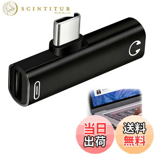 �y���������z�C���z�� �^�C�vC �ϊ� 3.5mm �ϊ� �^�C�vC �u���b�N 2in1 PD100W�}���[�d & Hi-Fi DAC���� 3.5mm�C���z���W���b�N �R���p�N�g �ʘb/���y/���ʒ��ߑΉ� Android/TypeC�[�q �ϊ��A�_�v�^