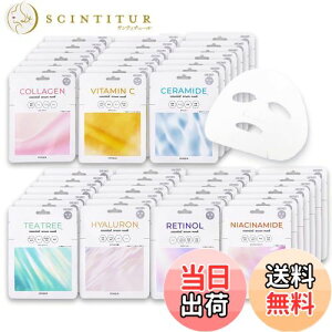 yzGbZVZ}XNeʁI 100Zbg(7ށj tFCXpbN tFCX}XN fC[pbN pbN v`v v`ve