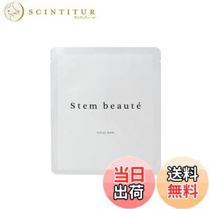 yzStemBeaute(Xe{[e) tFCV}XN(1) qgזE etz  n tFCXpbN XyVPA {