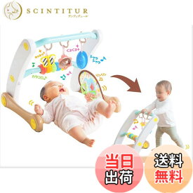 【送料無料】うちの赤ちゃん世界一 (R) スマート知育ジム&ウォーカー 色：混合カラー、サイズ：ワンサイズ