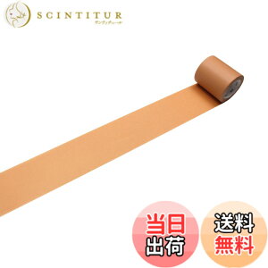 �y���������z�J������H��(Kamoi Kakoshi) mt �}�X�L���O�e�[�v 1P �F�F�R���N�A�T�C�Y�F50mm��