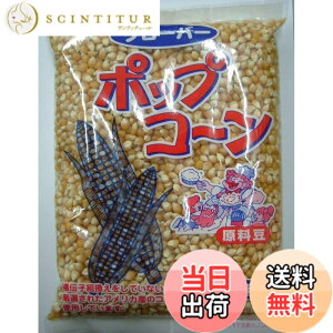 �y���������z�N���[�o�[ �|�b�v�R�[���������Ɩ��p 1kg �T�C�Y�F1�L���O���� (x 1)