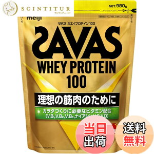 �y���������z�U�o�X(SAVAS) �z�G�C�v���e�C��100 ���b�`�V���R���� �T�C�Y�F980g