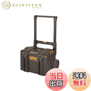 �y���������z�f�E�H���g(DEWALT) �^�t�V�X�e��2.0 �{�b�N�X �F�FXL Box DS450�A�T�C�Y�FDS450