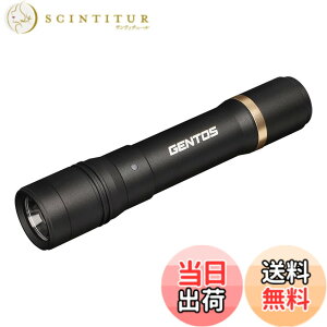 �y���������zGENTOS(�W�F���g�X) �����d�� LED���C�g �[�d�� 200~900���[���� ���N�V�[�h RX-285R/RX-286R/RX-304R/RX-386R/RX-486PB �F�F�u���b�N�A�T�C�Y�F���a30.1x150.4mm