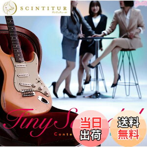 �y���������zTiny Scandal - �p���q�� �F�F�J���[�o���G�[�V�����Ȃ�