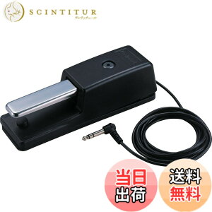 �y���������zRoland ���[�����h �_���p�[�y�_�� DP-10 �n�[�t�_���p�[�Ή� 2.2m�P�[�u�� �d�q�s�A�m �f�W�^���s�A�m �L�[�{�[�h �F�F�u���b�N