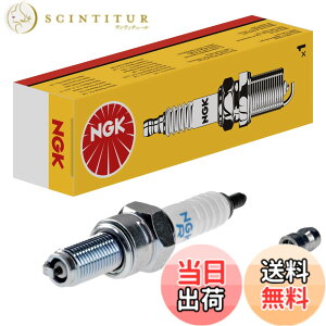 �y���������z���{���ꓩ��(NGK) �X�p�[�N�v���O �y4578�z �l�W�^ CR7E
