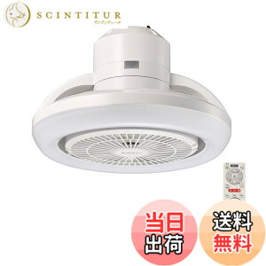 �y���������z�h�E�V�V�� �T�[�L�����C�g �F�F���F