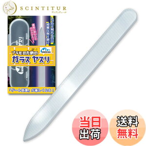 �y���������z�~�l�V�}(Mineshima) �v�����̂��߂̃K���X���X�� �z�r�[�p�c�[�� GF-1 �F�F�N���A�[